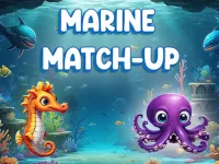 Marine Match Up image