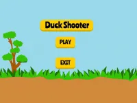 Duck Shooting image