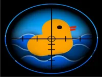 Quick Duck Shoot image